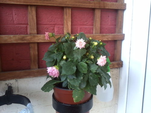 gerri1974's profile picture. 