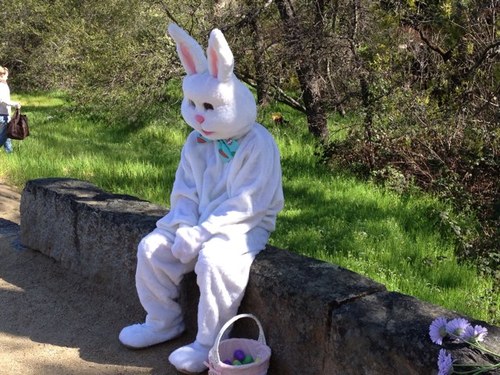 RandyFHall's profile picture. 