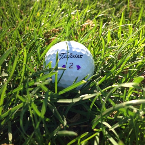 learn2golf01 Profile Picture
