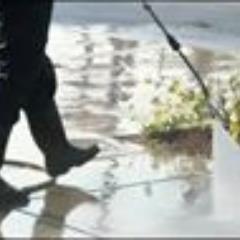 carpet cleaning , gardening