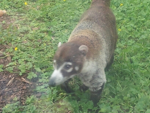 multicolourgirl's profile picture. 