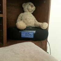 Alarm Clock (@beeepbeeepbeeep) 's Twitter Profile