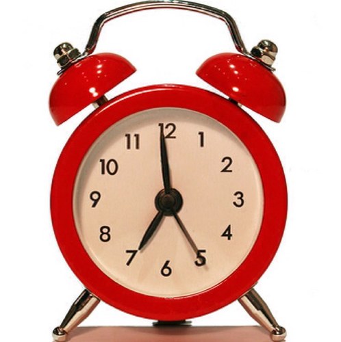 I'm your alarm clock and my sole purpose in life is to wake you up in the morning. I like your shoelaces. PINEAPPLE