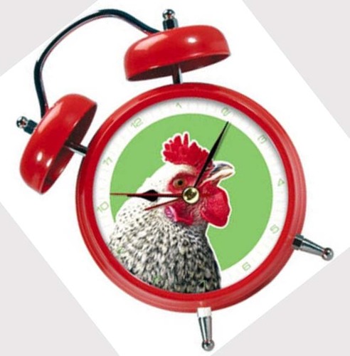 GISHWHESAlarmCl's profile picture. 