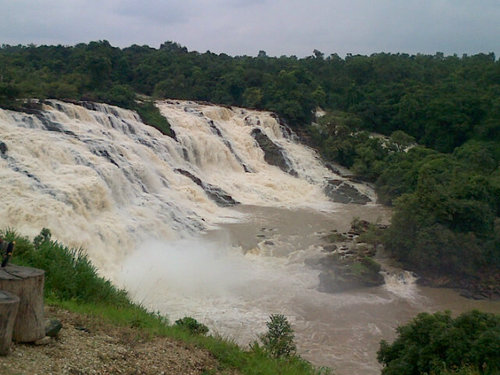 Al_about_Jesus's profile picture. I am Jesus' beloved.