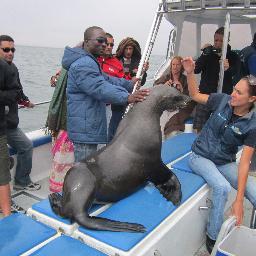 VeikoNampila's profile picture. Scouts, likes fun, outdoor, and adventurer..