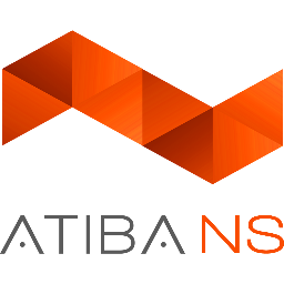 Atiba Network Services is dedicated to your IT/Network, Exchange, Lync, Virtualization, Backup, Disaster Recovery, Citrix, VMware