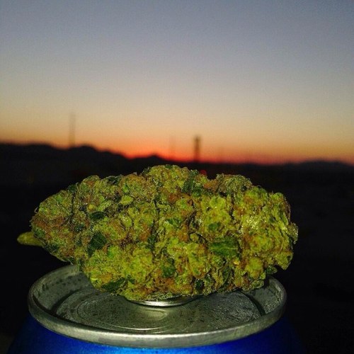 Live good, Smoke even better. Send me your dope pictures and ill retweet them. #TheFamily
