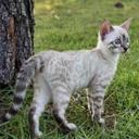 Emily - @Ella_Ellington - Twitter