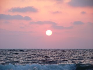 waad9116's profile picture. 