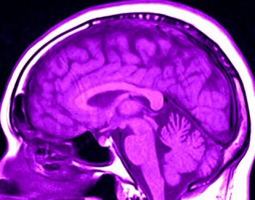 MarbleFinder's profile picture. Christian Conservative/ 2A/ Mental Health Counselor/The Blaze Faithful Listener/ NerdyFanGirl