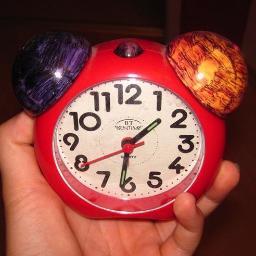 I´m just Dominika´s alarm clock. And I BEEP for gishwhes team JeffersonStarships.