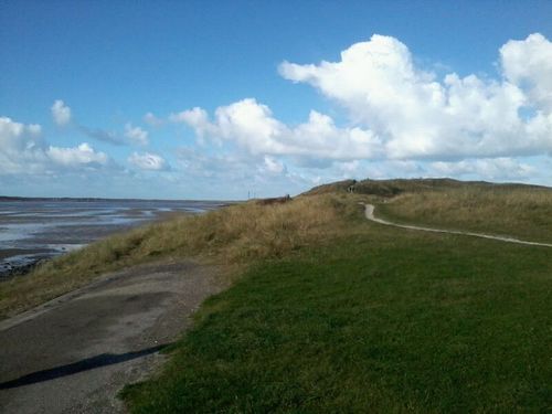 jimleeuwen1's profile picture. Raketbouwer