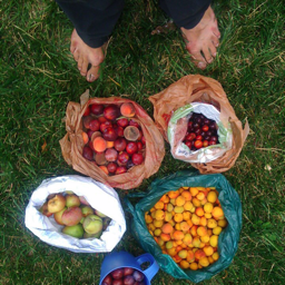 Falling Fruit