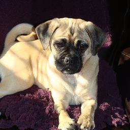 dirtymic3's profile picture. 