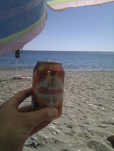 MAngelRoMar's profile picture. Estudia las frases que parecen ciertas y ponlas en duda.