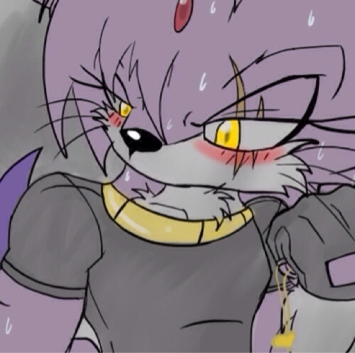 I'm Blaze the cat…only difference is that I'm a guy and not a girl…… #bisexual #taken by @starnight543 
Theme song: I Don't Care
Partner: @female_ultimate