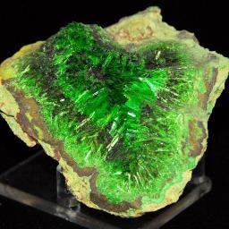 natural history museum, fossils, minerals, meteorites, primitive and prehistoric human tools and weapons, dinosaur claws and teeth, please like us on facebook