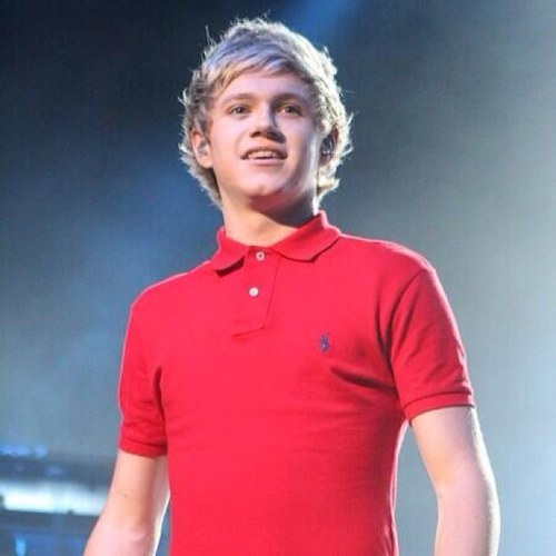 I'm Niall Horan 1/5 of One Direction. *shrugs* i love nando's, nothing else to say {Rp}