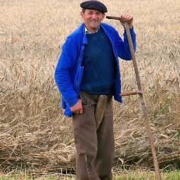 1Agriculteur's profile picture. Officiel agriculteur / Tweet cultivateur pomme de terre