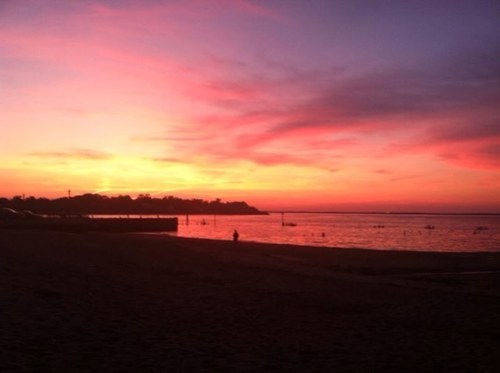 deekaayarre's profile picture. spicy food afficionado. wanderlust sufferer. hockey fan.