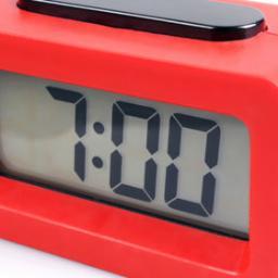 The Official GISHWHES alarm