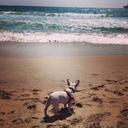 Caleb Graff - @cgraff515 - Twitter