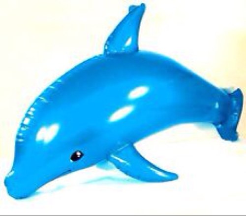 Dolphin_Timmy1's profile picture. I am a purple dolphin at Granite falls Swim club