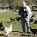 Fernando Lavín R. - @2137fdo - Twitter