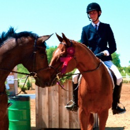 mcgillian, equestrian