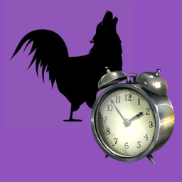 Cocka-doo-aroooooo!!! Time to wake up, world, GISHWHES is afoot.