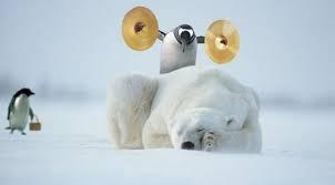 I am the fabulous Alarm Clock for my Gishwhes team. I wasn't set correctly and may go off at anytime!
