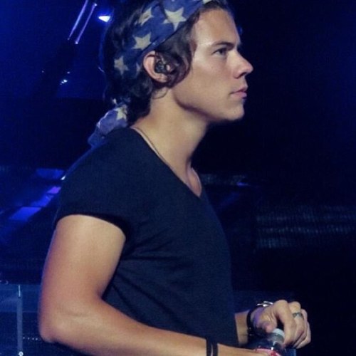 januaryvibes's profile picture. i would punch harry in the face for ruining my life but im afraid id break my hand