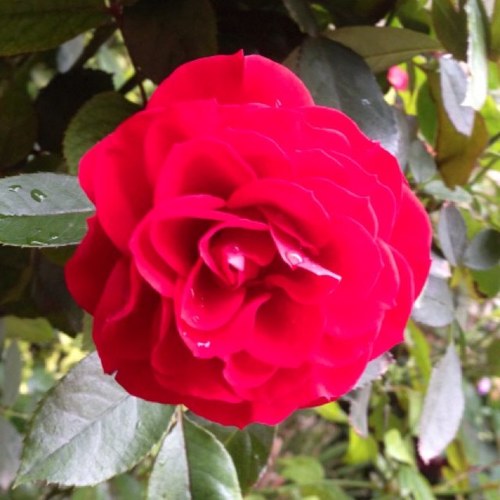 AnglicaMndez28's profile picture. México