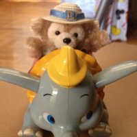 まさ (@0612h) 's Twitter Profile