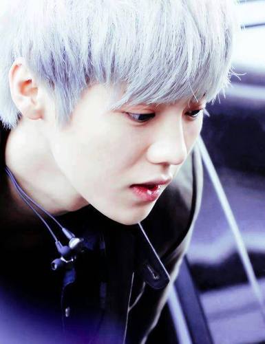 ฟอลฟรีคร่าบบบ อยากฟอลกลับ ฟอลแอดนี้นะครับ .... @LUHAN_Mtb