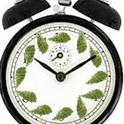 KaleClock's profile picture. This is your KaleClock, reminding you that all the time is Kale Time. #gishwhes