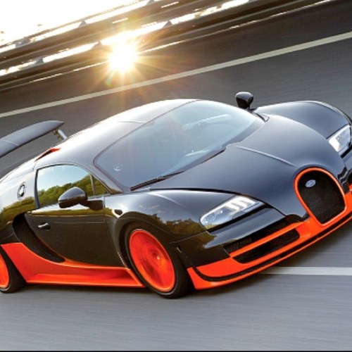 cheetahfast42's profile picture. Wassssssssssssz up!