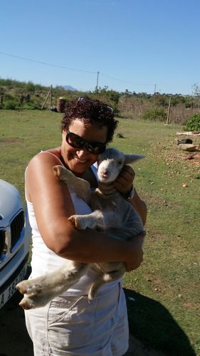 CarolCupido's profile picture. 