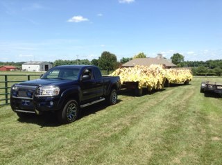 toyotaphill's profile picture. 