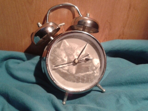 ItsTimeToWake's profile picture. With Team Leaf On The Wind alarm clock you will always get up on time