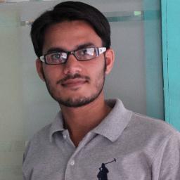 Software Developer.