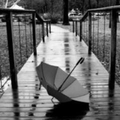 Life is really simple, but we insist on making it complicated. I'm a simple teenager and I tweet about my thoughts! P.S.: I adore rain :$