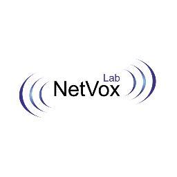 Voice and Web application development