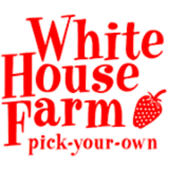 norwichpyo's profile picture. Farmshop, Butchery, Café and range of small businesses, a stone's throw from Norwich!