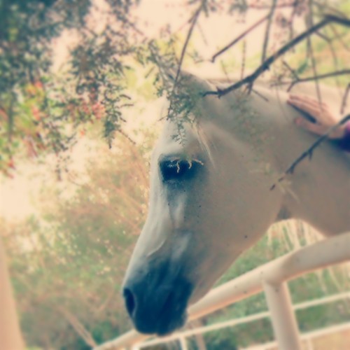 ‏‏‏‏‏‏مواليد 92 الجميلين - جوزائيه - مرتبطه بالطاقه الايجابيه وكل مايتعلق بها - موارد بشريه 'دار العلوم' - كتابتي بالمفضله ★*MuchLove*