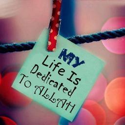 aaquib_mohammad's profile picture. 