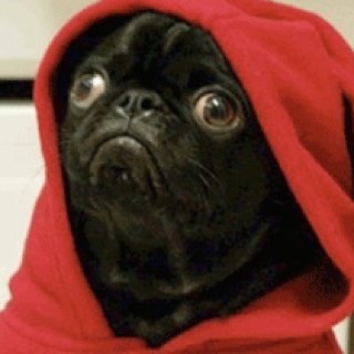 LarryRealOk's profile picture. Directioner. Mahomie. Belieber. Higaholic. Psychopath.. Smosher. Kalel. Pewds. Marzipan. HEY BABY YOU BETTER BECOME DOCTAH BABY BECOME DOCTAH