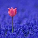 ليدو (@0552653490) Twitter