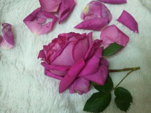 ‏‏‏مهما بعدتي.. تأكدي إنك معي 
صحيح منتي بجنبي ....
ولا أنتي عندي....
لكن....تأكدي إنك جوا قلبي